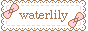 waterlily